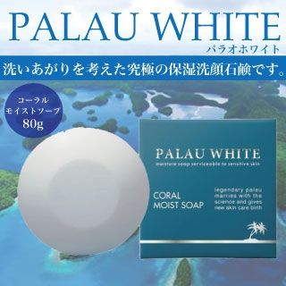 大人気!!今話題のパラオホワイト